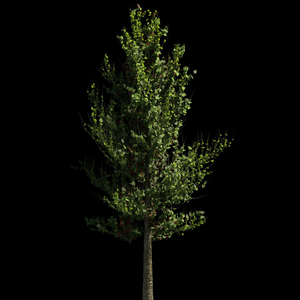 Realistic Tree in Cycles preview image 1